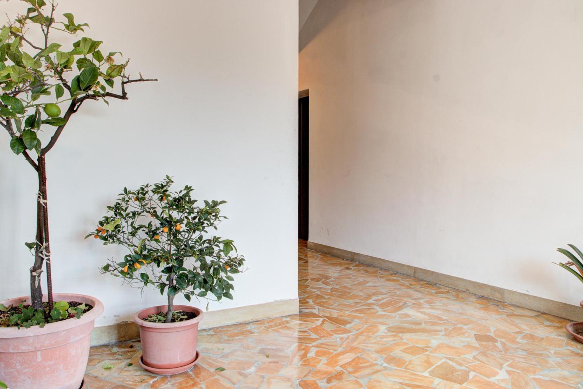 Apartament Casa Emilia Volterra Zewnętrze zdjęcie